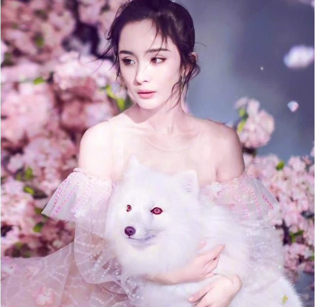 {WG匯遊會}(杨幂时尚芭莎写真大片图片)